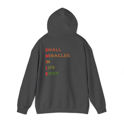 Hoodie — 'Small Miracles In Life Exist' Minimal Smiley Pullover