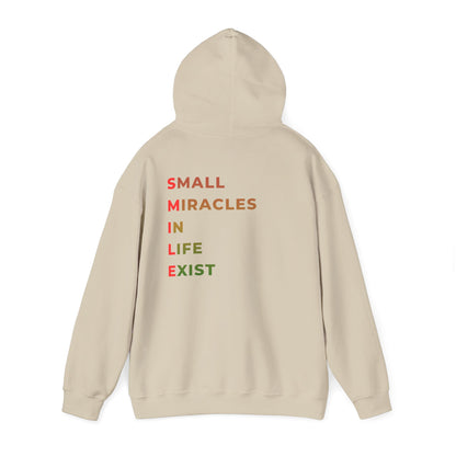 Hoodie — 'Small Miracles In Life Exist' Minimal Smiley Pullover