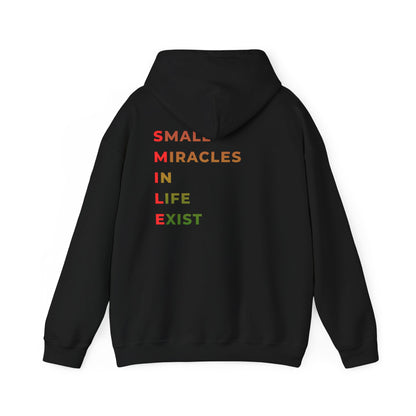 Hoodie — 'Small Miracles In Life Exist' Minimal Smiley Pullover