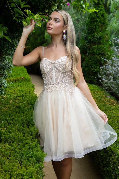 Floral Embroidery Embellished Glitter Mesh Sweetheart Neckline A - Line Homecoming Dress - DCCXIV.storeDamas/Short