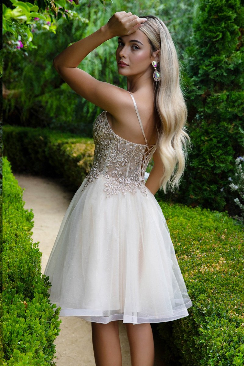 Floral Embroidery Embellished Glitter Mesh Sweetheart Neckline A - Line Homecoming Dress - DCCXIV.storeDamas/Short