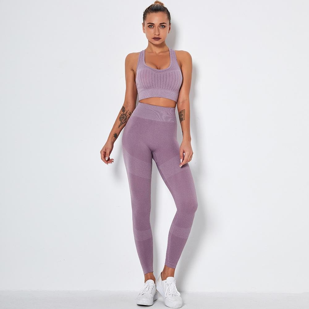 Seamless Yoga Fitness Set Women Sportswear Tank Bra Crop Top Leggings Pants Workout Clothes Gym Clothing 2 Piece Yoga Tracksuit - DCCXIV.storen/a