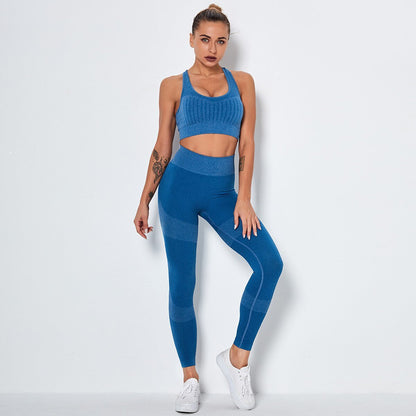 Seamless Yoga Fitness Set Women Sportswear Tank Bra Crop Top Leggings Pants Workout Clothes Gym Clothing 2 Piece Yoga Tracksuit - DCCXIV.storen/a